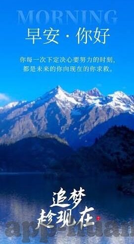 糖心官网版-糖心官网版的使用体验与功能解析